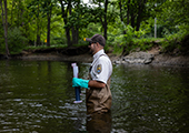 Biologist Preparing Red Rhodamine Dye