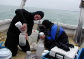 Research - Sediment Samples