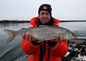 Biologist holding whitefish