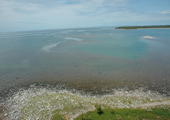 Caribou Island, Rock Outcrop